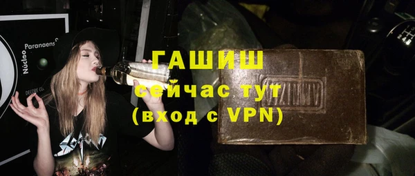 стаф Алзамай