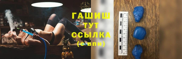 стаф Алзамай