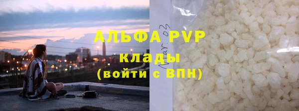 стаф Алзамай