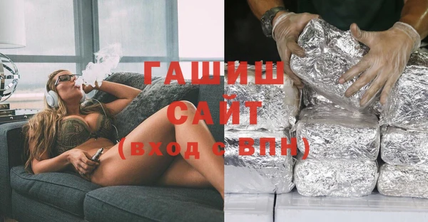 стаф Алзамай