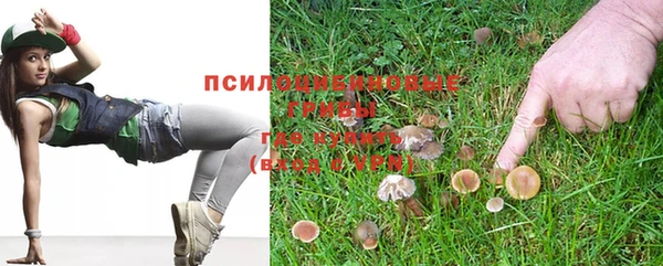герыч Алексин