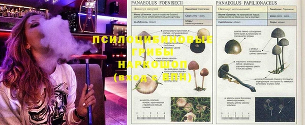 герыч Алексин