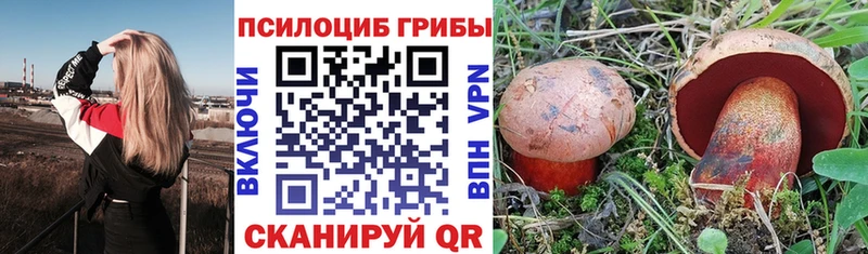 Галлюциногенные грибы ЛСД  купить закладку  Чапаевск 
